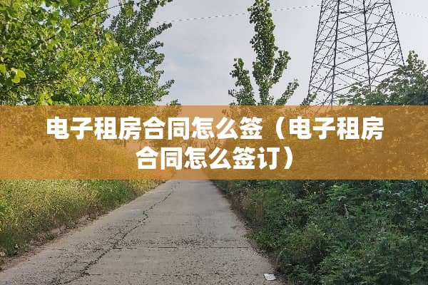 电子租房合同怎么签（电子租房合同怎么签订）