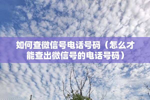 如何查微信号电话号码（怎么才能查出微信号的电话号码）