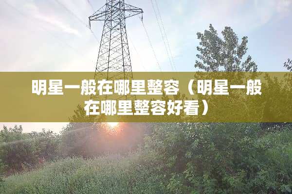 明星一般在哪里整容（明星一般在哪里整容好看）