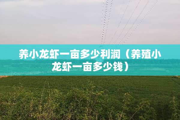 养小龙虾一亩多少利润（养殖小龙虾一亩多少钱）