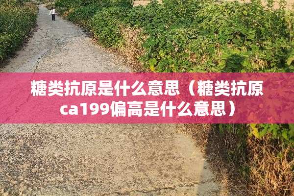糖类抗原是什么意思（糖类抗原ca199偏高是什么意思）
