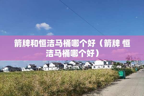 箭牌和恒洁马桶哪个好（箭牌 恒洁马桶哪个好）
