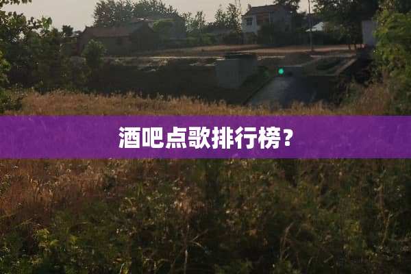 酒吧点歌排行榜？