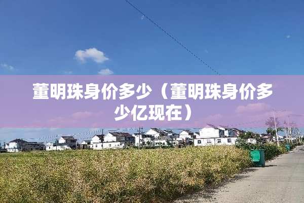 董明珠身价多少（董明珠身价多少亿现在）