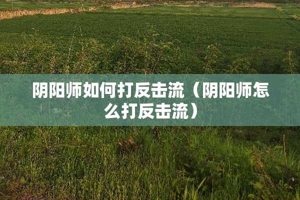 *阳师如何打反击流（*阳师怎么打反击流）