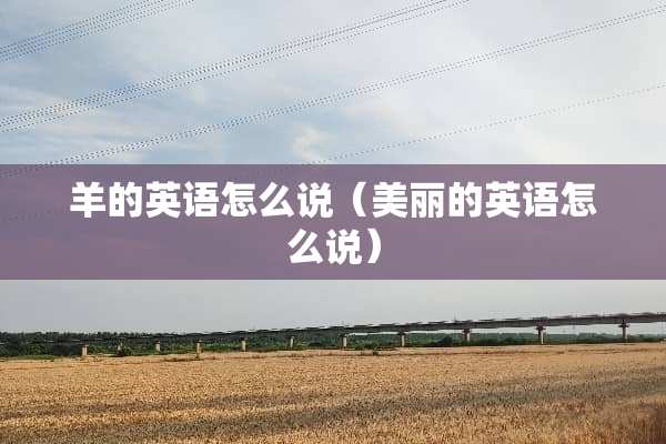 羊的英语怎么说（美丽的英语怎么说）