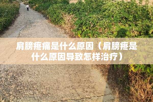 肩膀疼痛是什么原因（肩膀疼是什么原因导致怎样治疗）