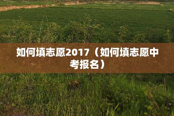 如何填志愿2017（如何填志愿中考报名）