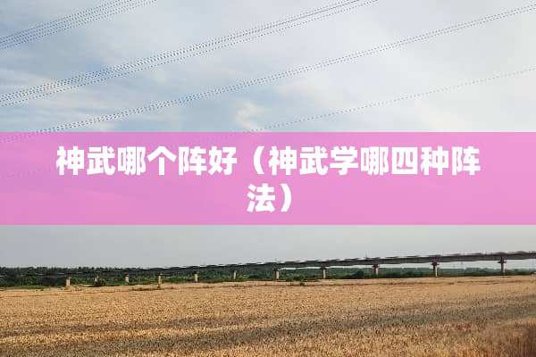 神武哪个阵好（神武学哪四种阵法）