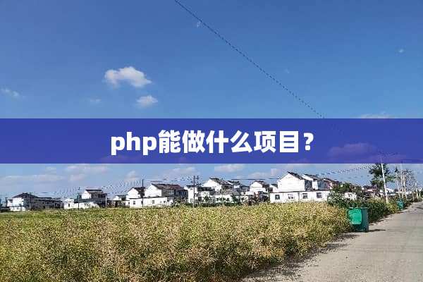 php能做什么项目？