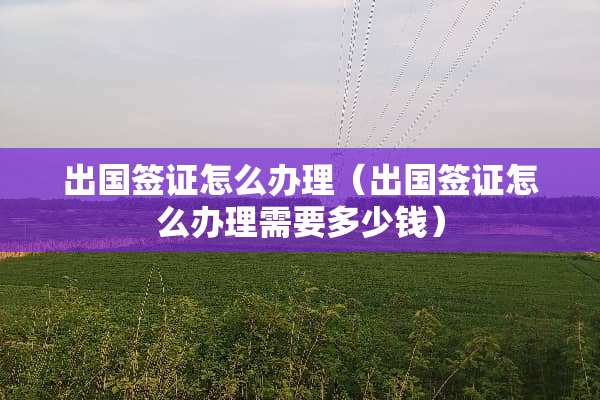 出国签证怎么办理（出国签证怎么办理需要多少钱）