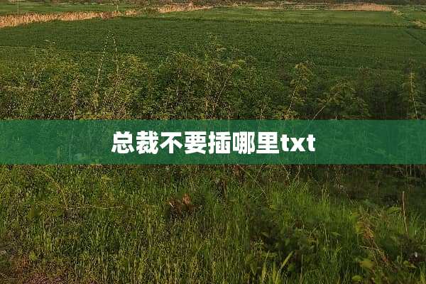 总裁不要插哪里txt