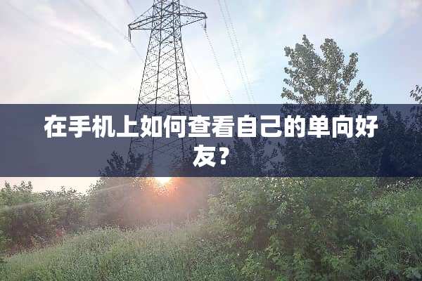 在手机上如何查看自己的单向好友？