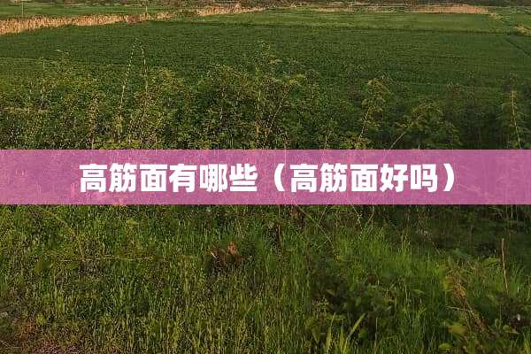 高筋面有哪些（高筋面好吗）