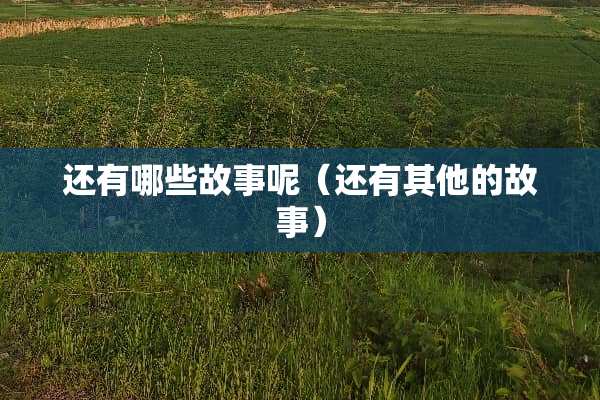 还有哪些故事呢（还有其他的故事）