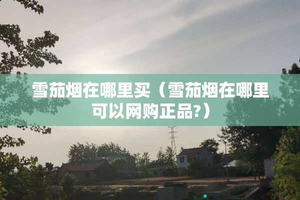 雪茄烟在哪里买（雪茄烟在哪里可以网购正品?）
