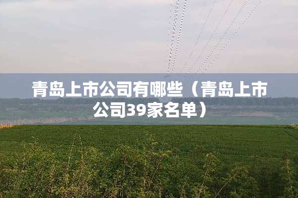 青岛上市公司有哪些（青岛上市公司39家名单）