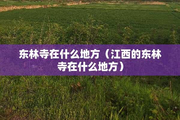 东林寺在什么地方（江西的东林寺在什么地方）