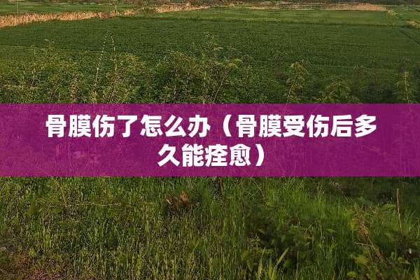 骨膜伤了怎么办（骨膜受伤后多久能痊愈）