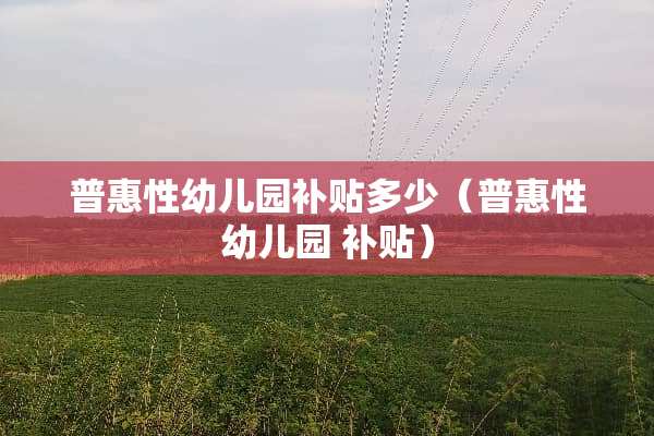 普惠性幼儿园补贴多少（普惠性幼儿园 补贴）