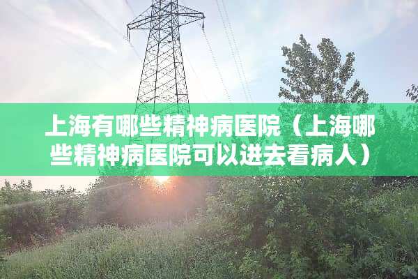 上海有哪些精神病医院（上海哪些精神病医院可以进去看病人）