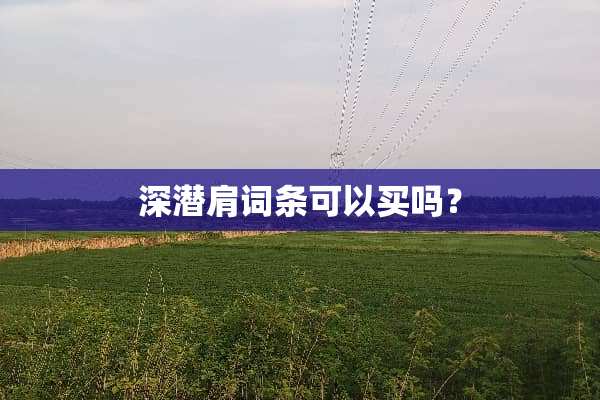 深潜肩词条可以买吗？
