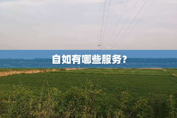 自如有哪些服务？