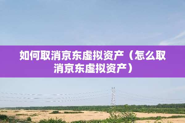 如何取消京东虚拟资产（怎么取消京东虚拟资产）