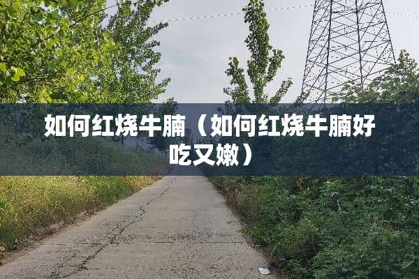 如何红烧牛腩（如何红烧牛腩好吃又嫩）