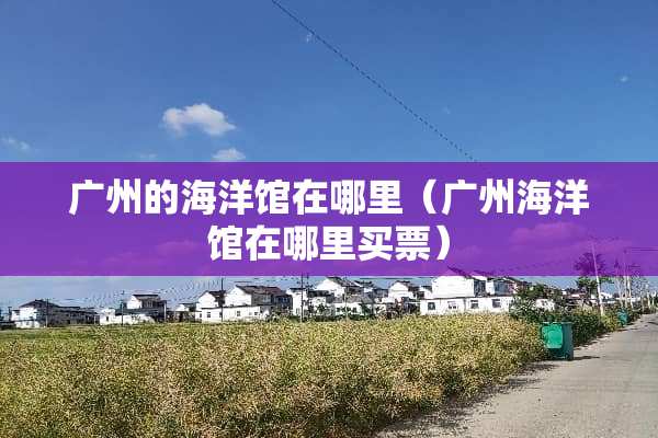 广州的海洋馆在哪里（广州海洋馆在哪里买票）
