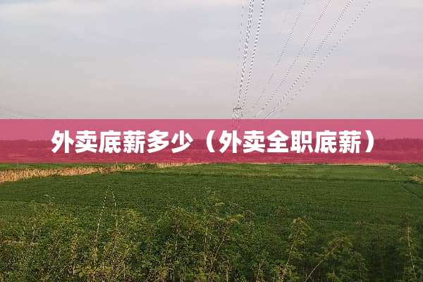 外卖底薪多少（外卖**底薪）