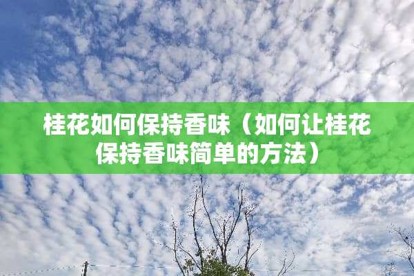 桂花如何保持香味（如何让桂花保持香味简单的方法）