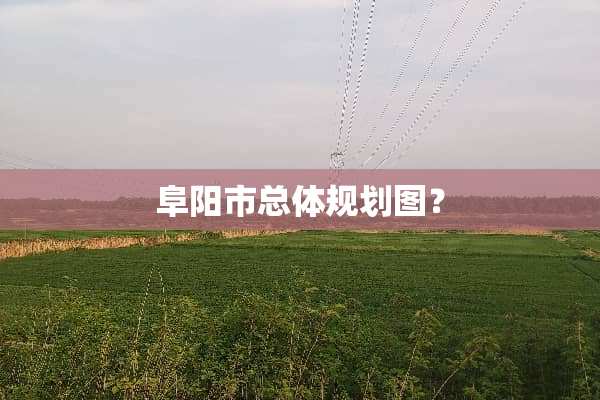 阜阳市总体规划图？