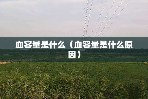 血容量是什么（血容量是什么原因）