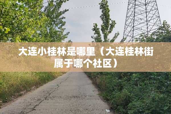 大连小桂林是哪里（大连桂林街属于哪个社区）