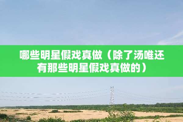 哪些明星假戏真做（除了汤唯还有那些明星假戏真做的）