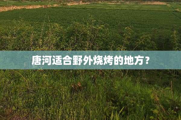 唐河适合野外烧烤的地方？