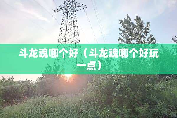 斗龙魂哪个好（斗龙魂哪个好玩一点）