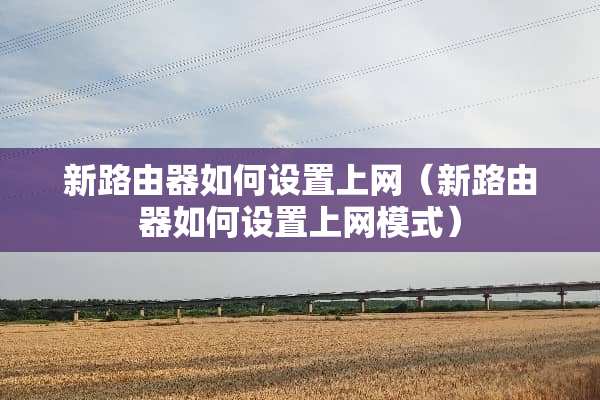 新路由器如何设置上网（新路由器如何设置上网模式）