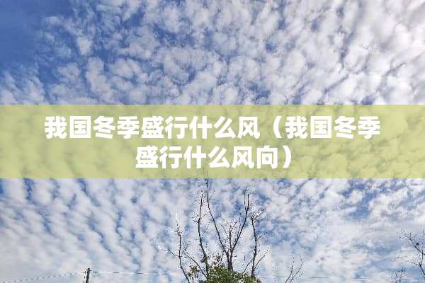 我国冬季盛行什么风（我国冬季盛行什么风向）