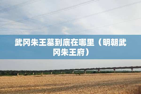 武冈朱王墓到底在哪里（明朝武冈朱王府）