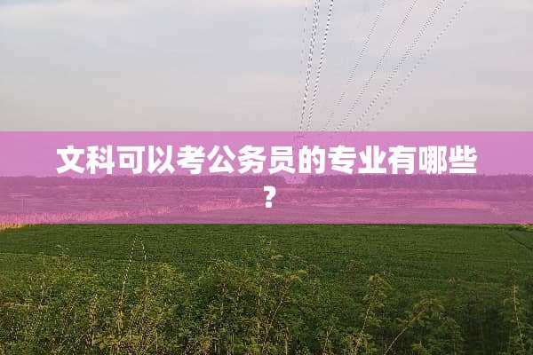 文科可以考公务员的专业有哪些？