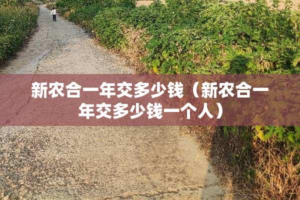 新农合一年交多少钱（新农合一年交多少钱一个人）
