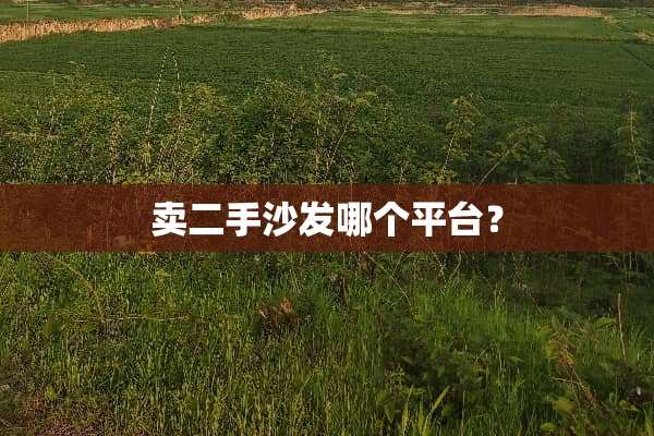 卖二手沙发哪个平台？