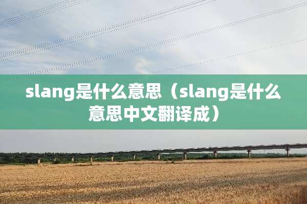 slang是什么意思（slang是什么意思中文翻译成）