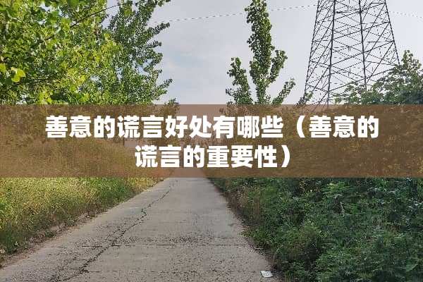 善意的谎言好处有哪些（善意的谎言的重要性）