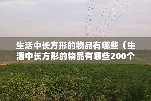 生活中长方形的物品有哪些（生活中长方形的物品有哪些200个）