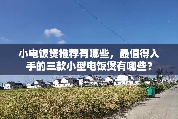 小电饭煲推荐有哪些，最值得入手的三款小型电饭煲有哪些？
