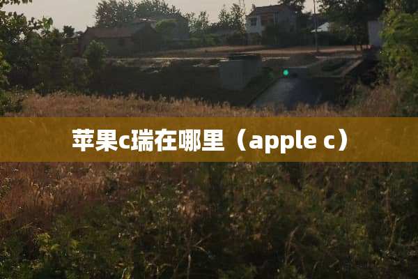 苹果c瑞在哪里（apple c）