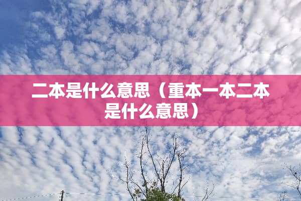 二本是什么意思（重本一本二本是什么意思）
